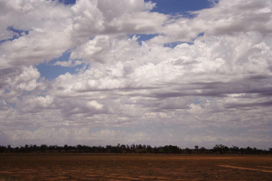 altocumulus castellanus : ~20km N of Barringun, NSW   2 January 2007