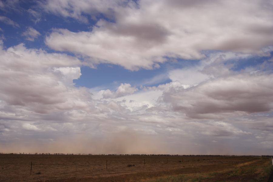 microburst micro_burst : ~30km N of Barringun, NSW   2 January 2007