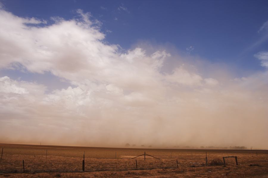 microburst micro_burst : ~10km N of Barringun, NSW   2 January 2007