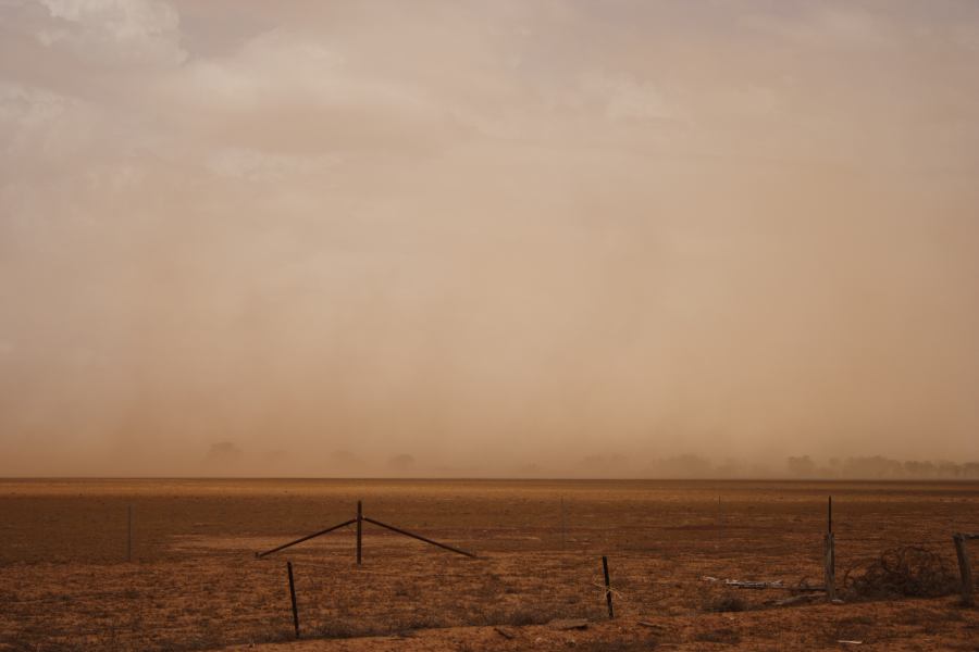 microburst micro_burst : ~10km N of Barringun, NSW   2 January 2007