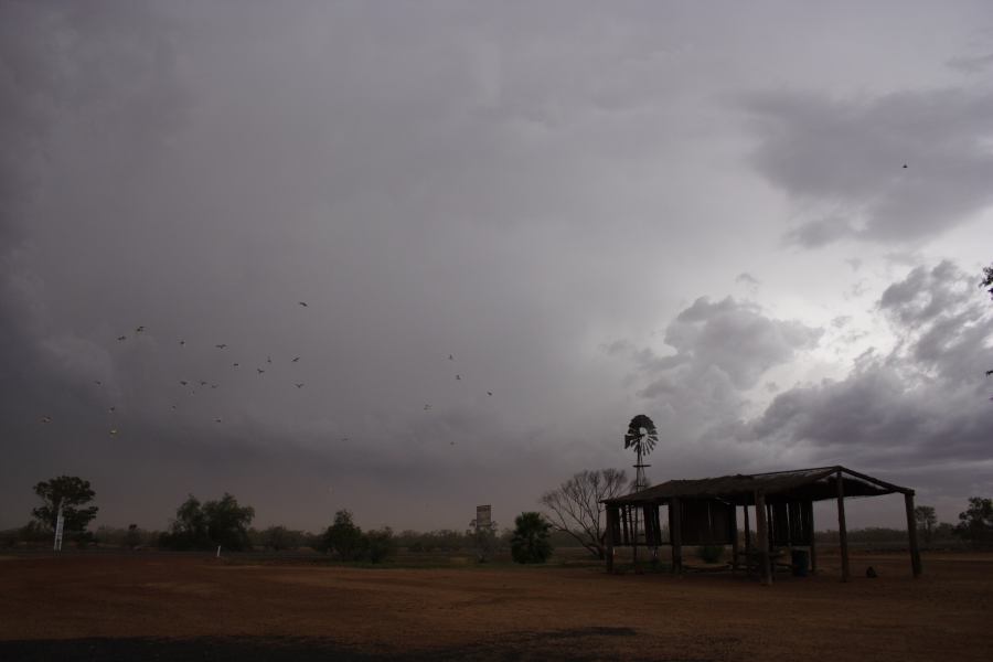 cumulonimbus supercell_thunderstorm : Barringun, NSW   2 January 2007