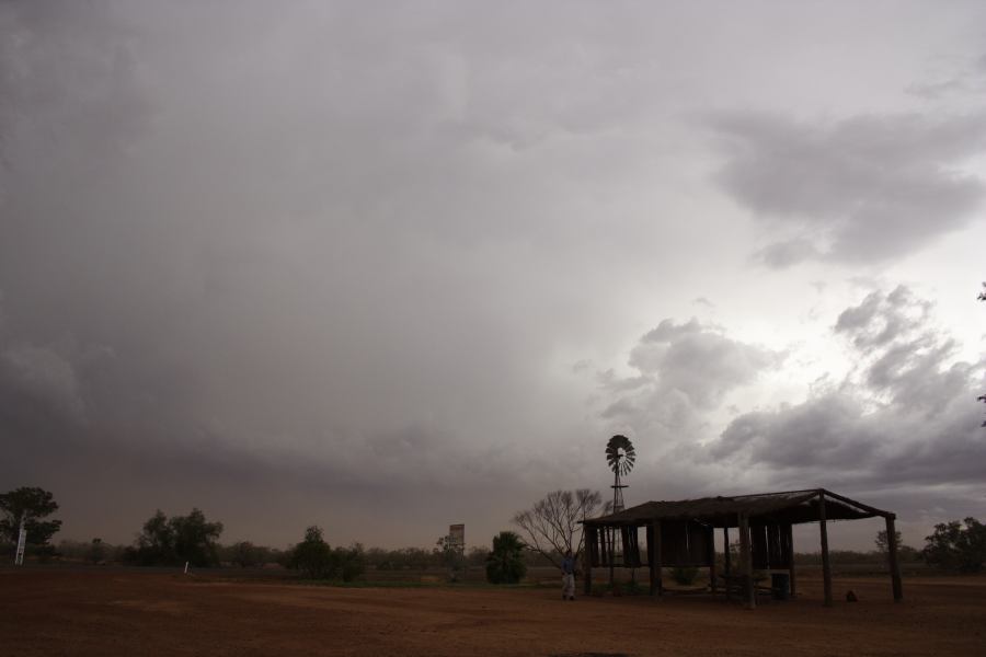 anvil thunderstorm_anvils : Barringun, NSW   2 January 2007