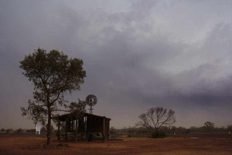 cumulonimbus thunderstorm_base : Barringun, NSW   2 January 2007