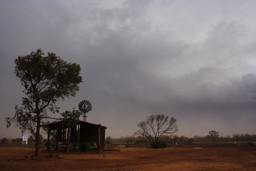 cumulonimbus thunderstorm_base : Barringun, NSW   2 January 2007