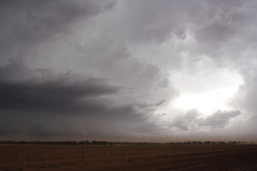 updraft thunderstorm_updrafts : 10km N of Barringun, NSW   2 January 2007