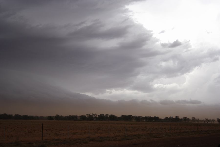 shelfcloud shelf_cloud : 10km N of Barringun, NSW   2 January 2007