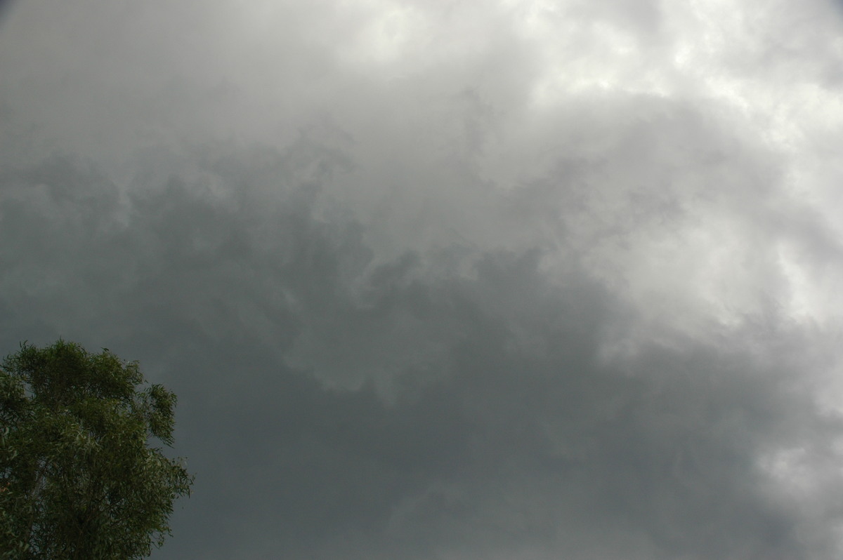 cumulonimbus thunderstorm_base : Whiporie, NSW   8 January 2007