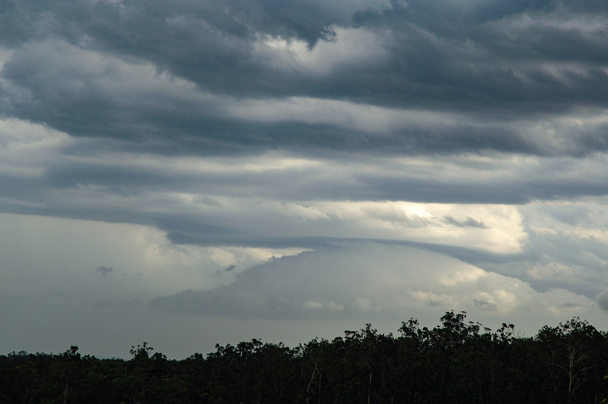 cumulonimbus thunderstorm_base : Whiporie, NSW   8 January 2007