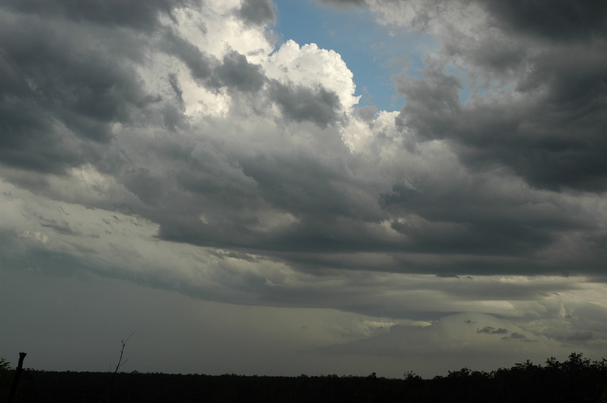 rollcloud roll_cloud : Whiporie, NSW   8 January 2007