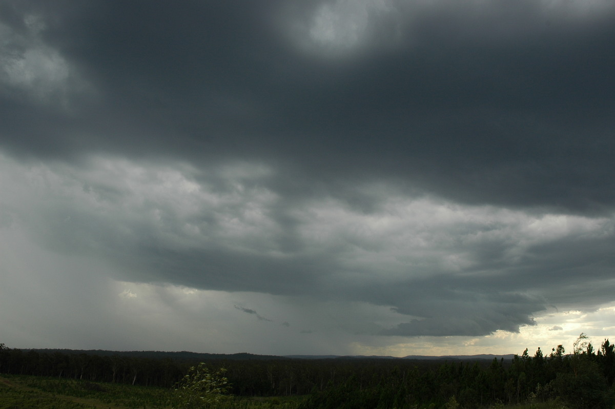 cumulonimbus thunderstorm_base : Whiporie, NSW   8 January 2007