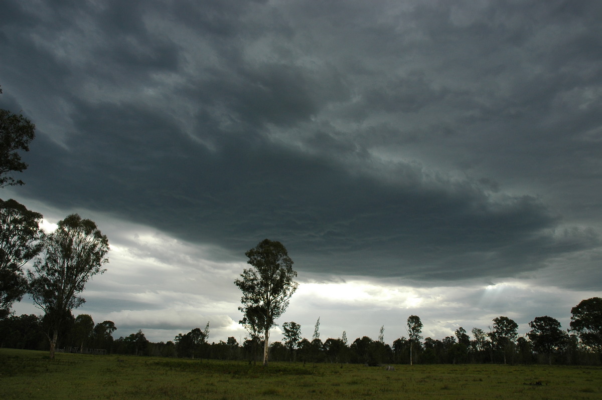 cumulonimbus thunderstorm_base : Myrtle Creek, NSW   8 January 2007