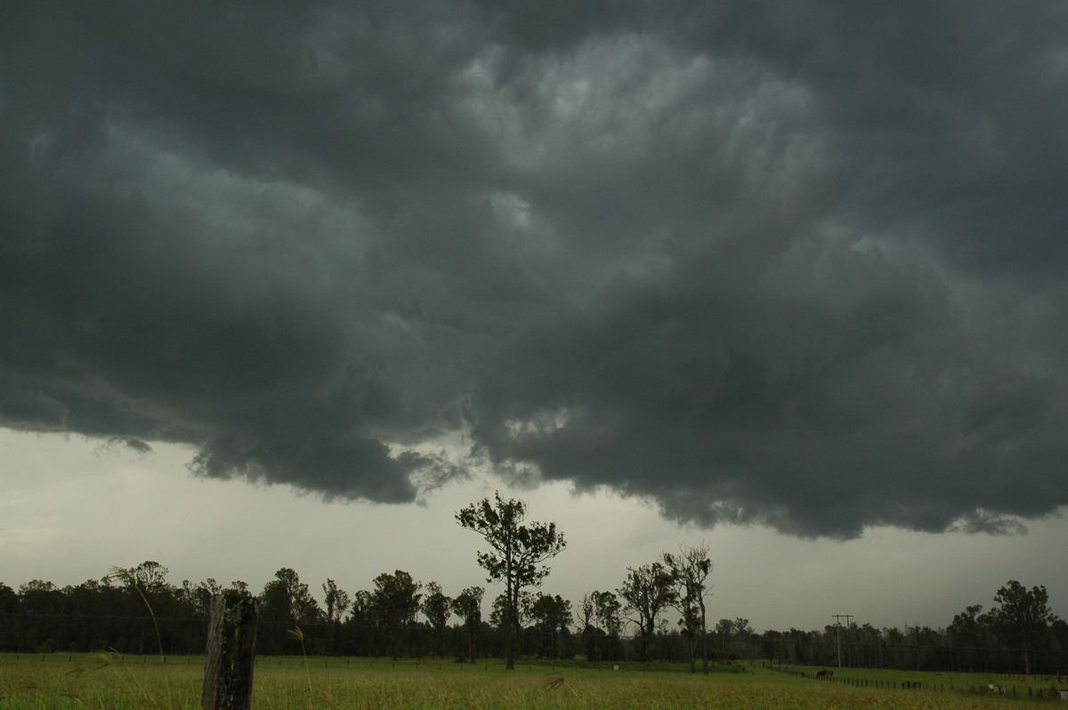 cumulonimbus thunderstorm_base : Leeville, NSW   8 January 2007