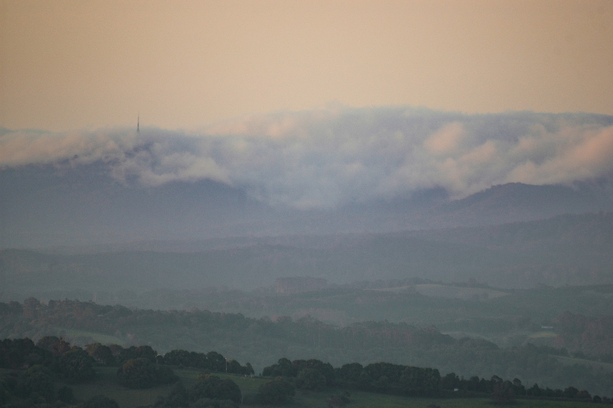 fogmist fog_mist_frost : McLeans Ridges, NSW   11 January 2007