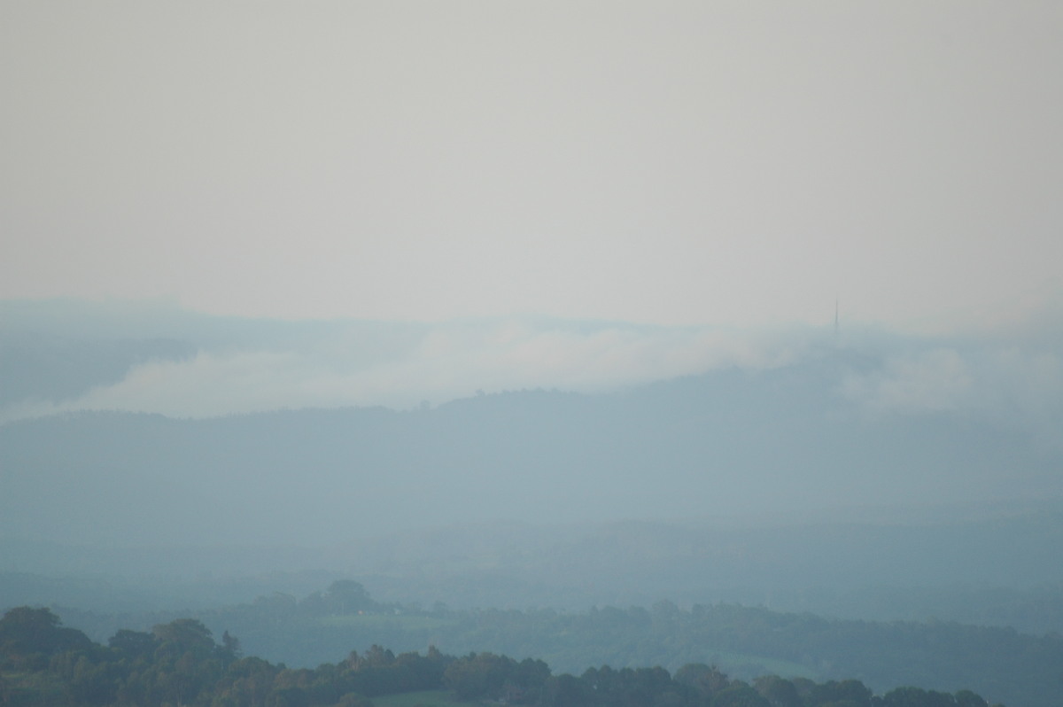 fogmist fog_mist_frost : McLeans Ridges, NSW   11 January 2007