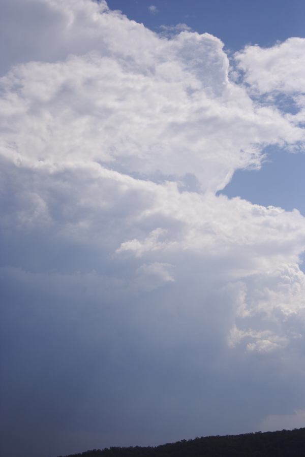 anvil thunderstorm_anvils : Castlereagh, NSW   12 January 2007