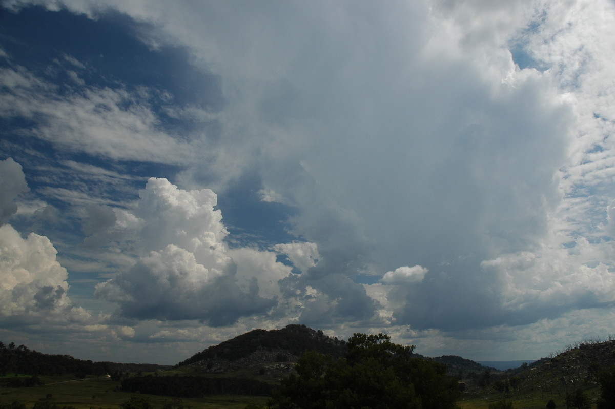 cumulus congestus : Tenterfield, NSW   12 January 2007