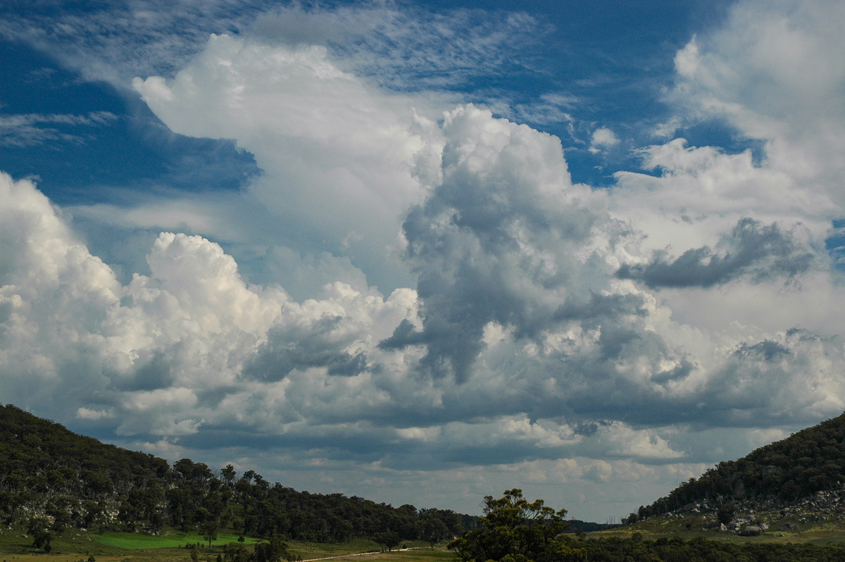 thunderstorm cumulonimbus_incus : Tenterfield, NSW   12 January 2007