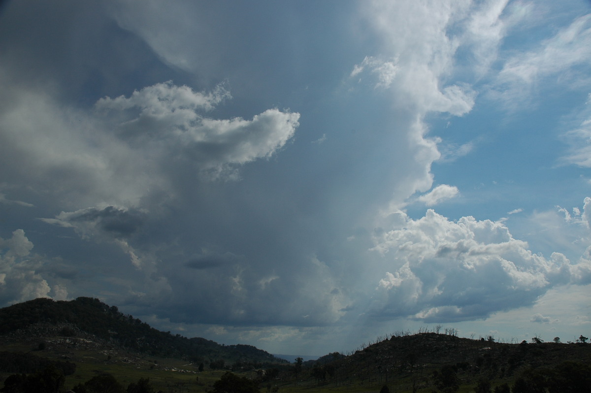 thunderstorm cumulonimbus_incus : Tenterfield, NSW   12 January 2007