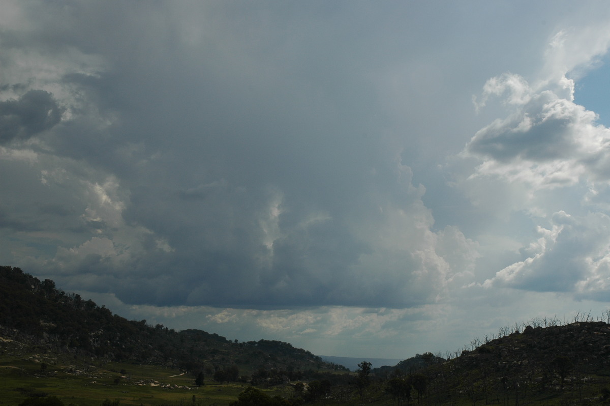 cumulonimbus thunderstorm_base : Tenterfield, NSW   12 January 2007