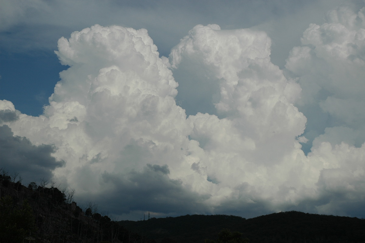 thunderstorm cumulonimbus_calvus : Tenterfield, NSW   12 January 2007