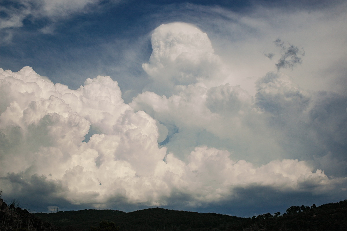 updraft thunderstorm_updrafts : Tenterfield, NSW   12 January 2007