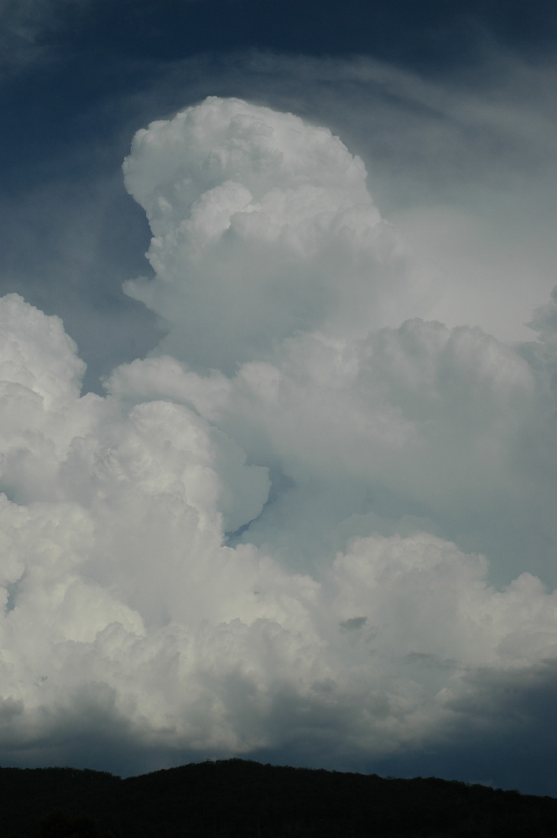 thunderstorm cumulonimbus_incus : Tenterfield, NSW   12 January 2007