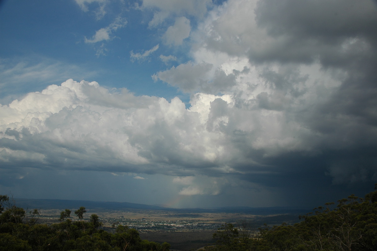 cumulus congestus : Tenterfield, NSW   12 January 2007