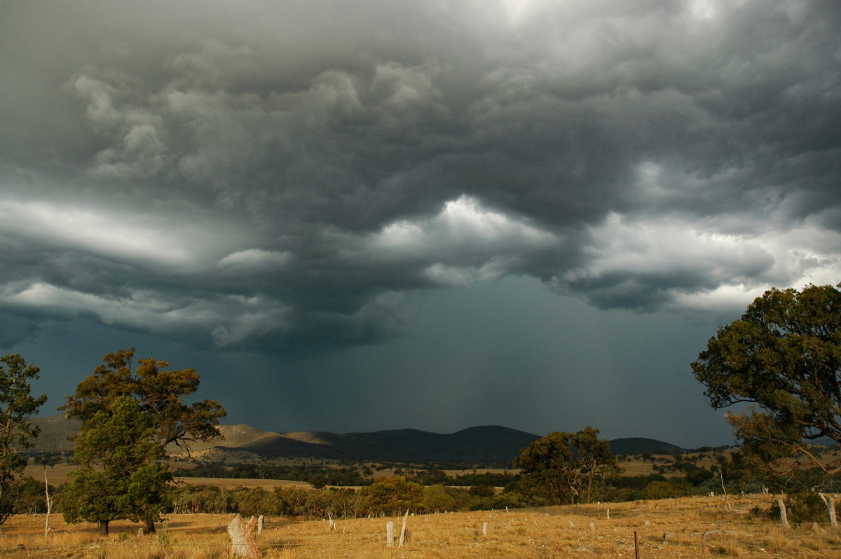 cumulonimbus thunderstorm_base : W of Tenterfield, NSW   12 January 2007