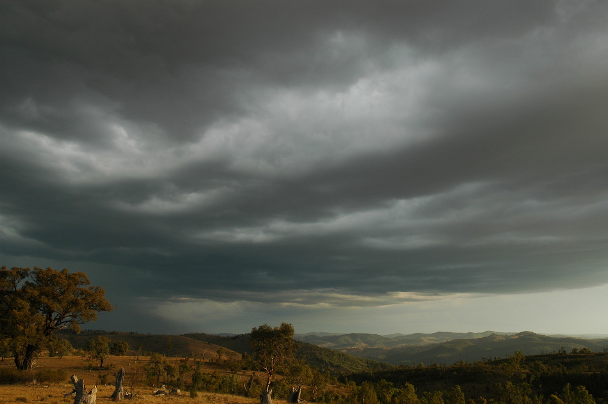 cumulonimbus thunderstorm_base : W of Tenterfield, NSW   12 January 2007