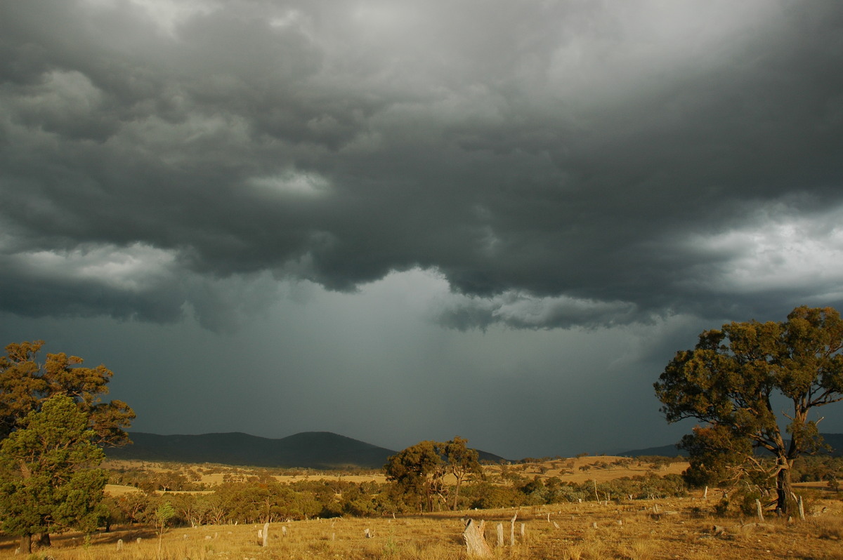 raincascade precipitation_cascade : W of Tenterfield, NSW   12 January 2007