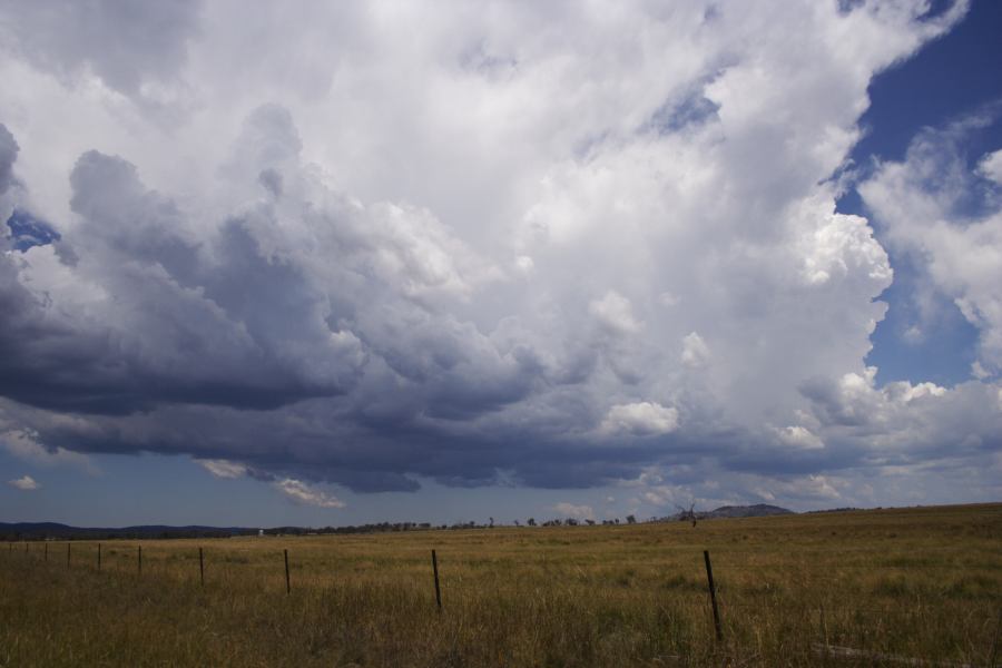 cumulonimbus thunderstorm_base : Deepwater, NSW   13 January 2007