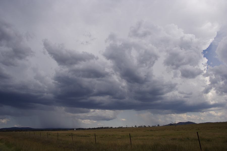 cumulonimbus thunderstorm_base : Deepwater, NSW   13 January 2007