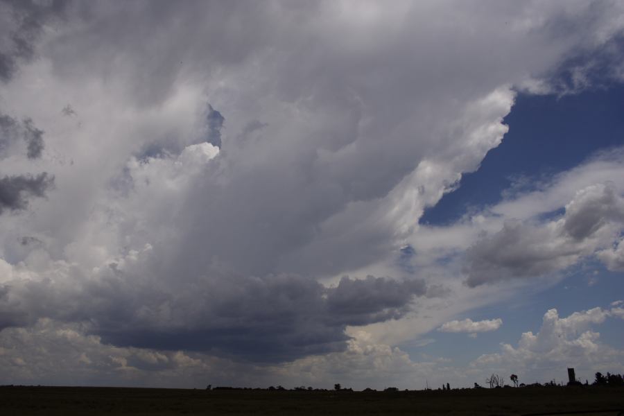 anvil thunderstorm_anvils : Deepwater, NSW   13 January 2007