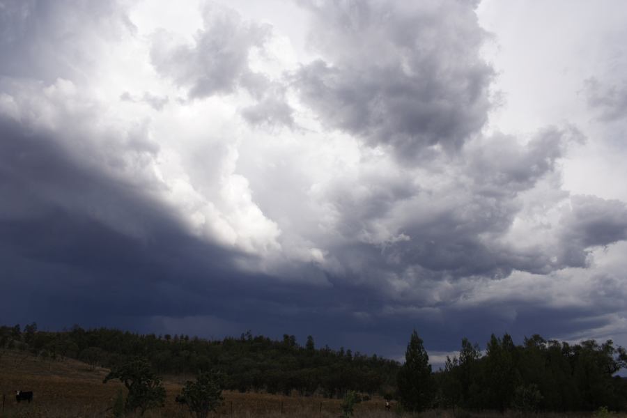 cumulonimbus thunderstorm_base : near Bonshaw, NSW   13 January 2007