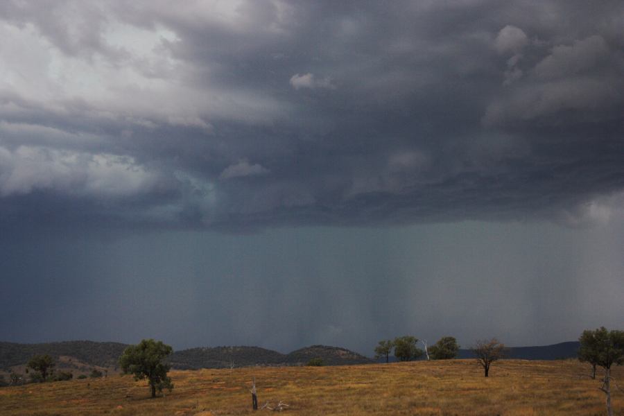 cumulonimbus thunderstorm_base : near Bonshaw, NSW   13 January 2007