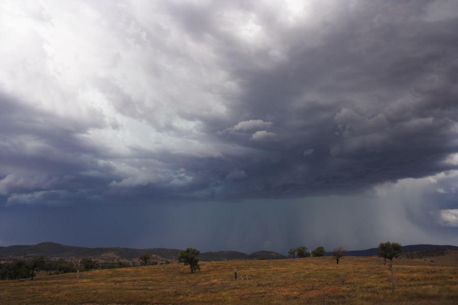 cumulonimbus thunderstorm_base : near Bonshaw, NSW   13 January 2007