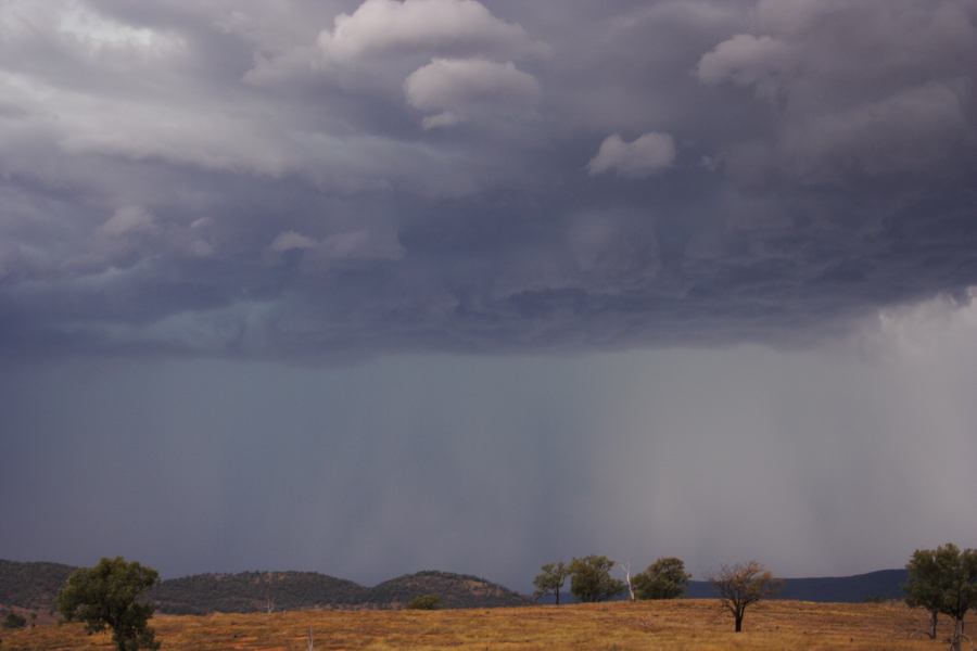 cumulonimbus thunderstorm_base : near Bonshaw, NSW   13 January 2007