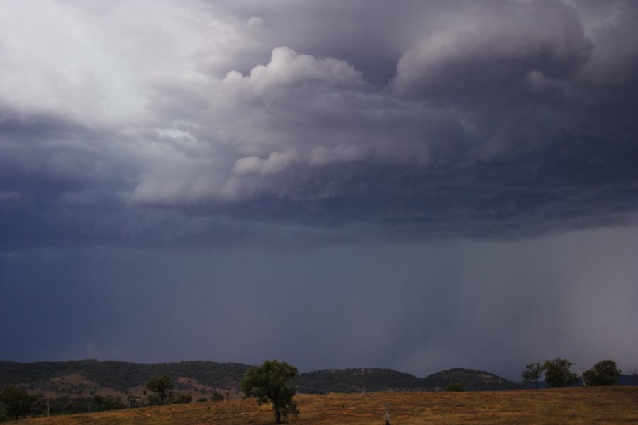 raincascade precipitation_cascade : near Bonshaw, NSW   13 January 2007