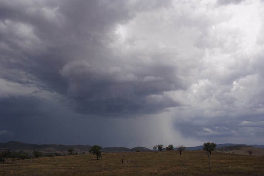 microburst micro_burst : near Bonshaw, NSW   13 January 2007