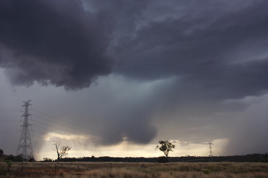 cumulonimbus thunderstorm_base : near Bonshaw, NSW   13 January 2007