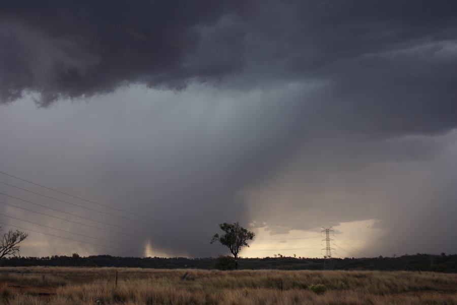 cumulonimbus thunderstorm_base : near Bonshaw, NSW   13 January 2007