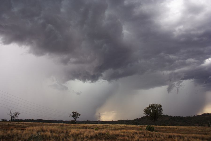 cumulonimbus thunderstorm_base : near Bonshaw, NSW   13 January 2007