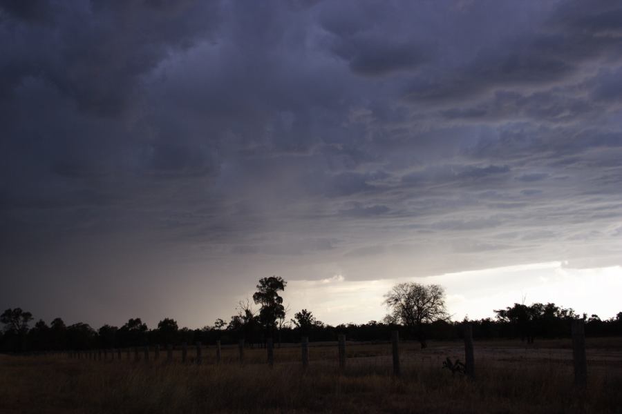 cumulonimbus thunderstorm_base : S of Inglewood, NSW   13 January 2007