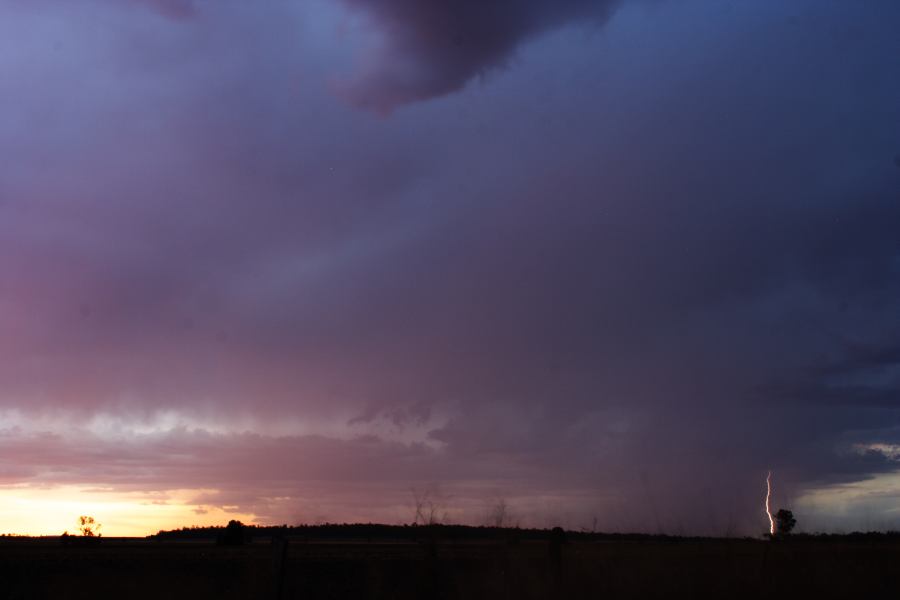 sunset sunset_pictures : ~ 40km N of Inglewood, QLD   13 January 2007