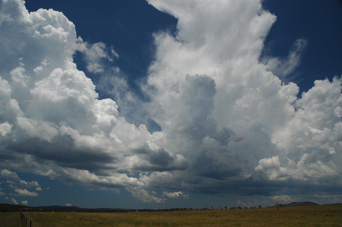 thunderstorm cumulonimbus_calvus : Deepwater, NSW   13 January 2007