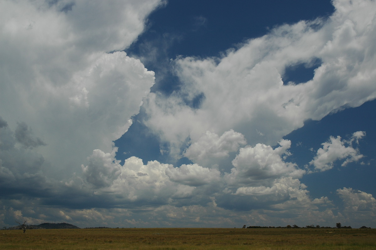 thunderstorm cumulonimbus_incus : Deepwater, NSW   13 January 2007