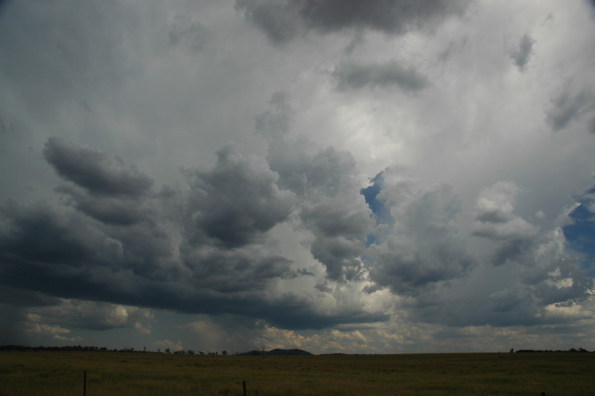 anvil thunderstorm_anvils : Deepwater, NSW   13 January 2007