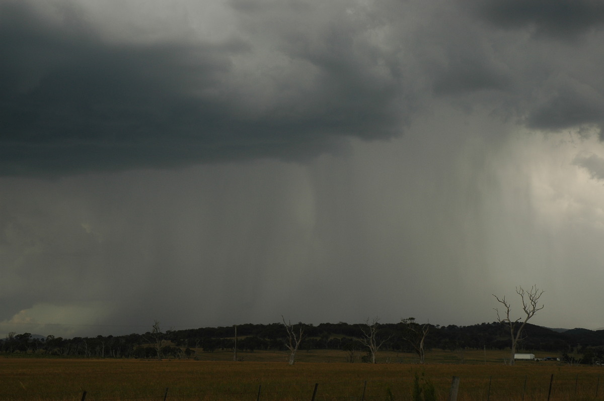 raincascade precipitation_cascade : Deepwater, NSW   13 January 2007