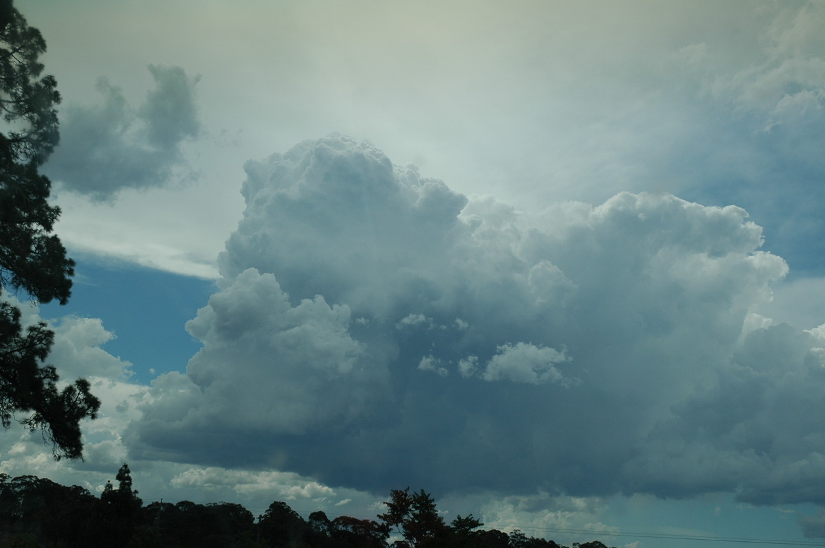 cumulus congestus : W of Deepwater, NSW   13 January 2007