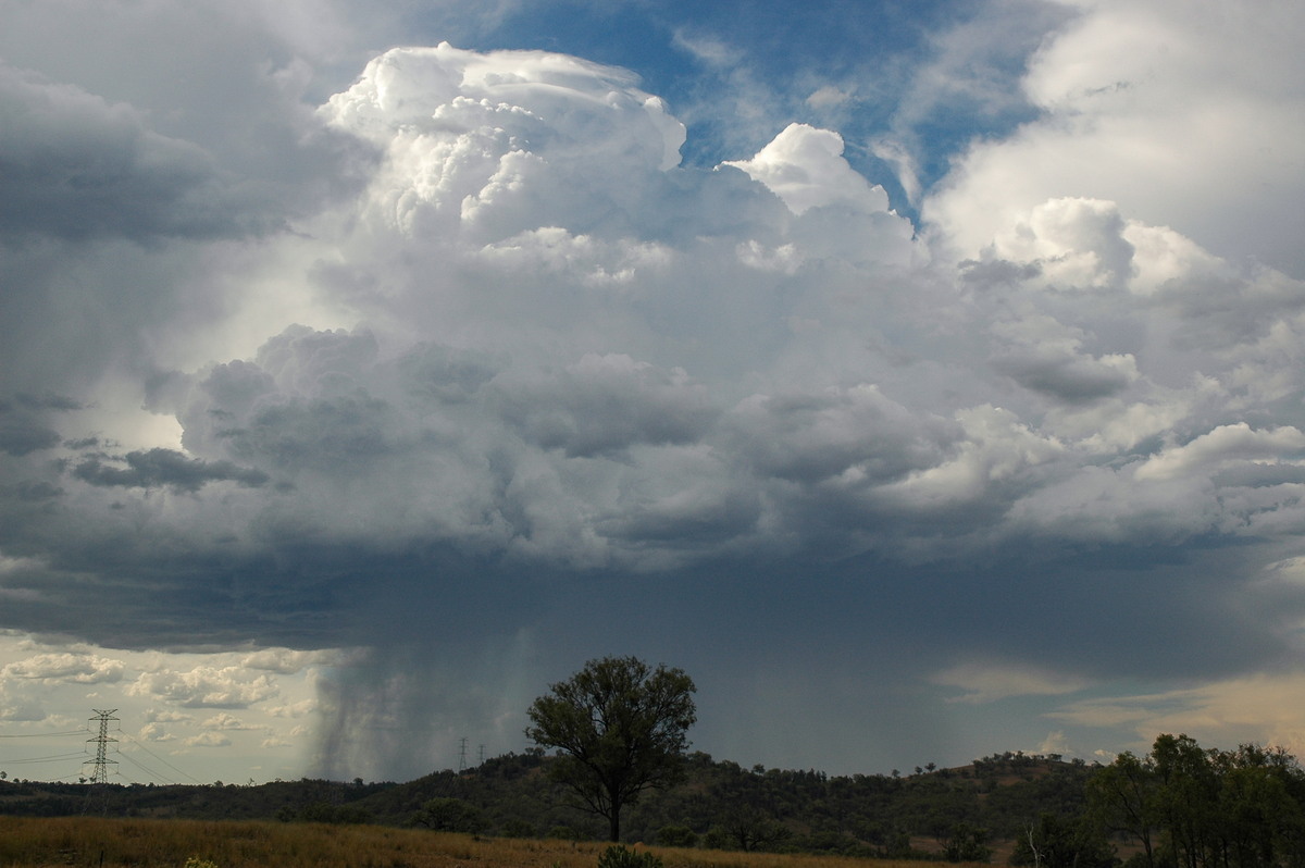 thunderstorm cumulonimbus_calvus : near Bonshaw, NSW   13 January 2007